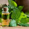 В составе Feet protect содержится эфирное масло мяты.